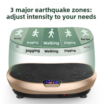 Vibration Fitness Massage Machine