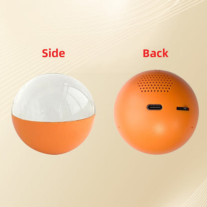 Video Playback Electronic Ball