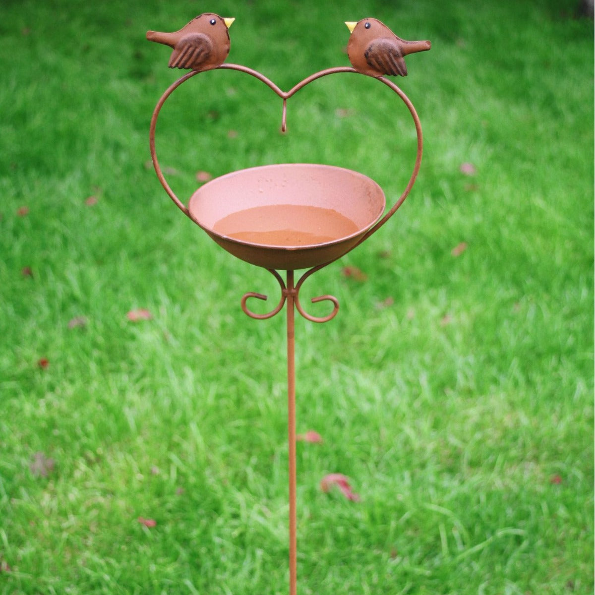 Vintage Iron Bird Feeder with Watering Function