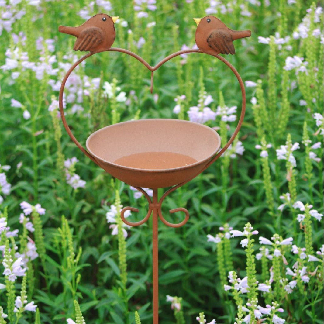 Vintage Iron Bird Feeder with Watering Function