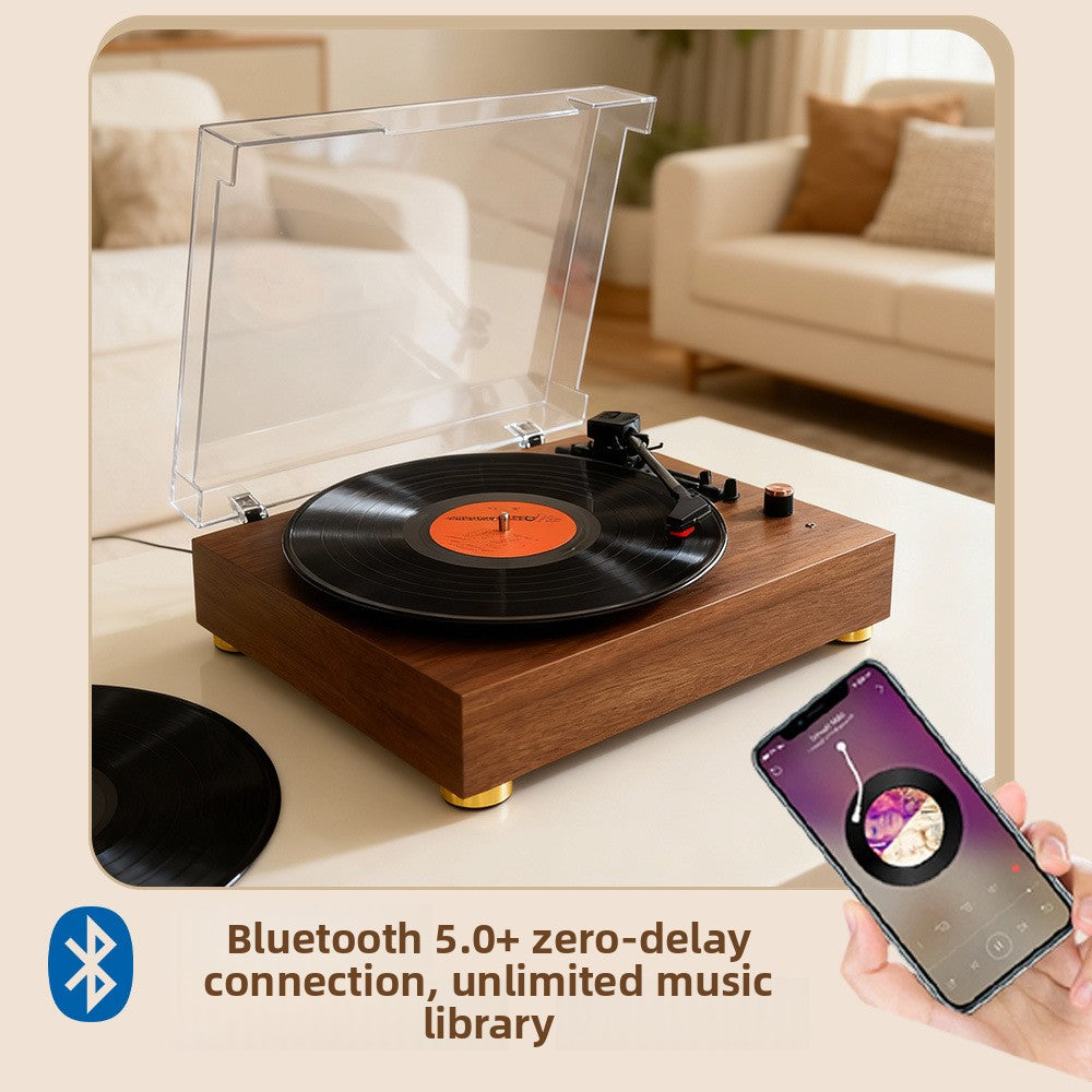 Vinyl Record Player