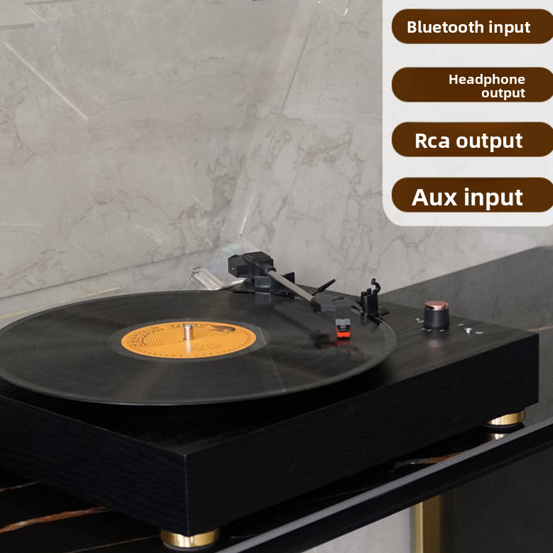 Vinyl Record Player