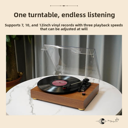 Vinyl Record Player