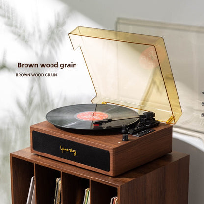 Vinyl record player