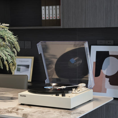 Vinyl record player
