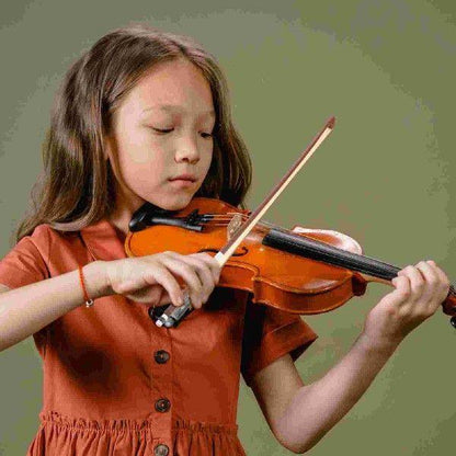 violin bow
