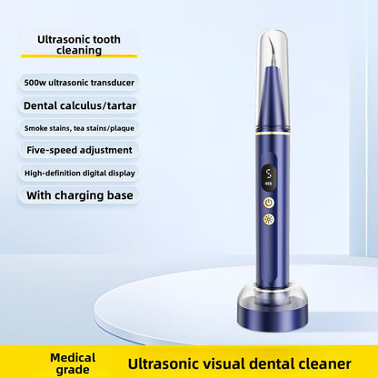 Visual dental cleaning instrument