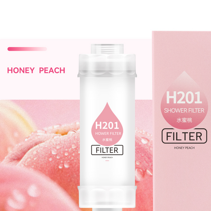 Vitamin C Shower Filter with Fragrance Cartridge