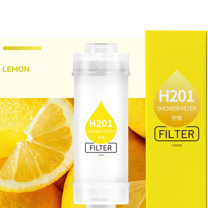 Vitamin C Shower Filter with Fragrance Cartridge