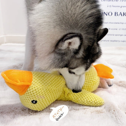 Vocal dog toys