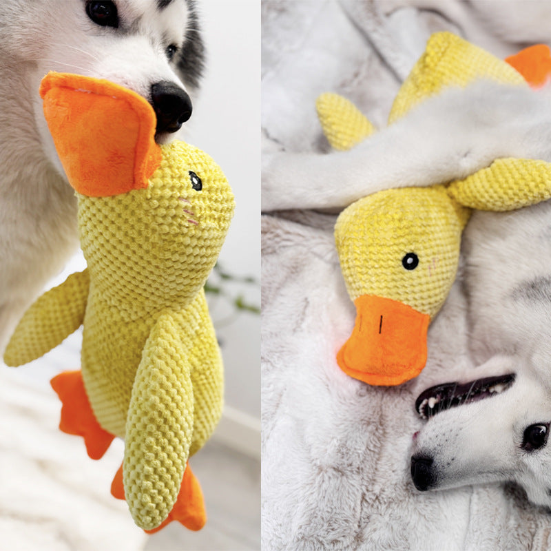 Vocal dog toys