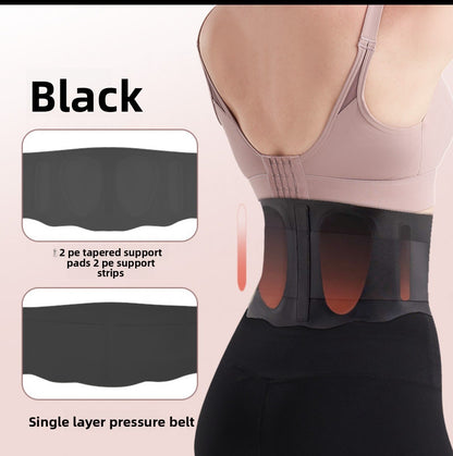 Waist Support Belt