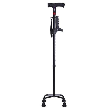 Walking stick electric