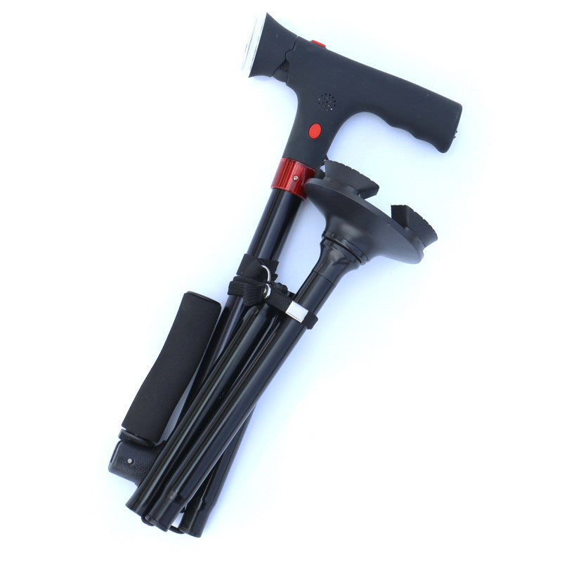 walking stick