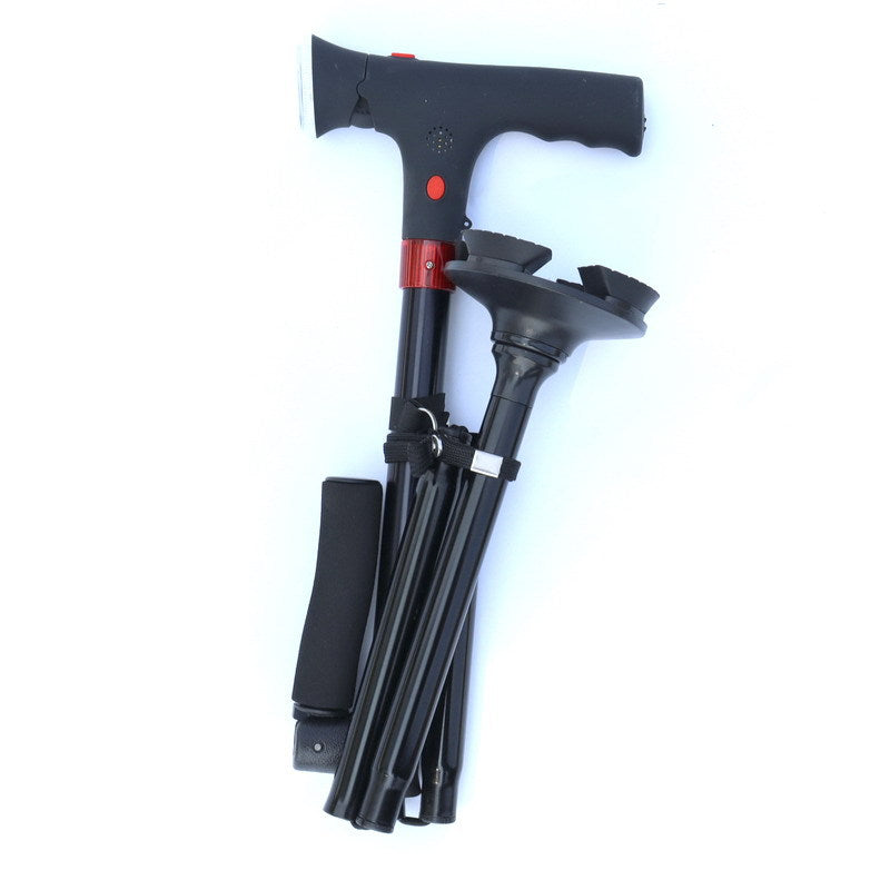 walking stick