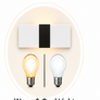 Dual Light Modes