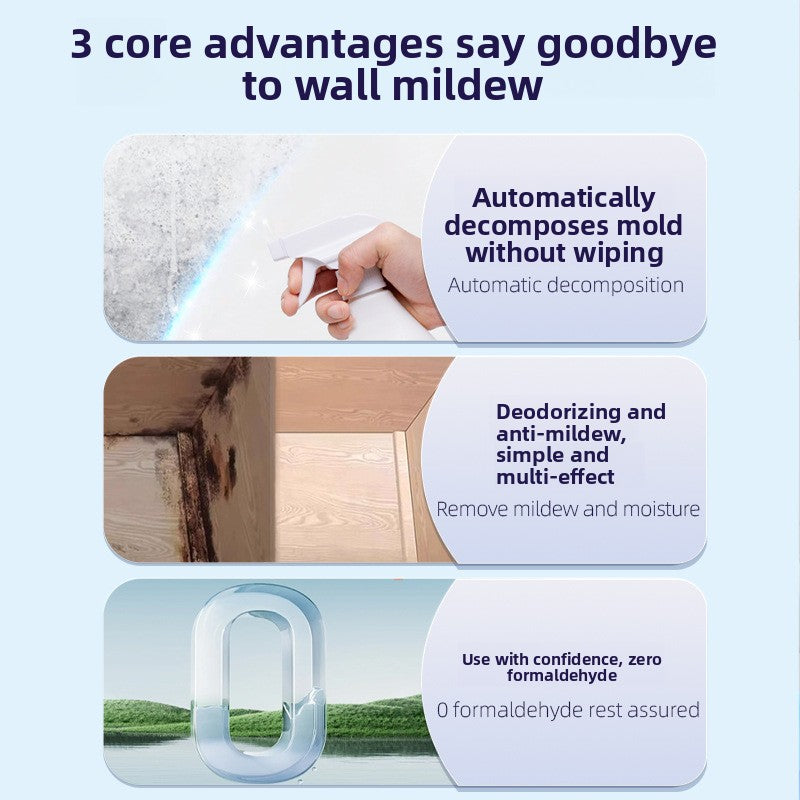 Wall Mold Remover