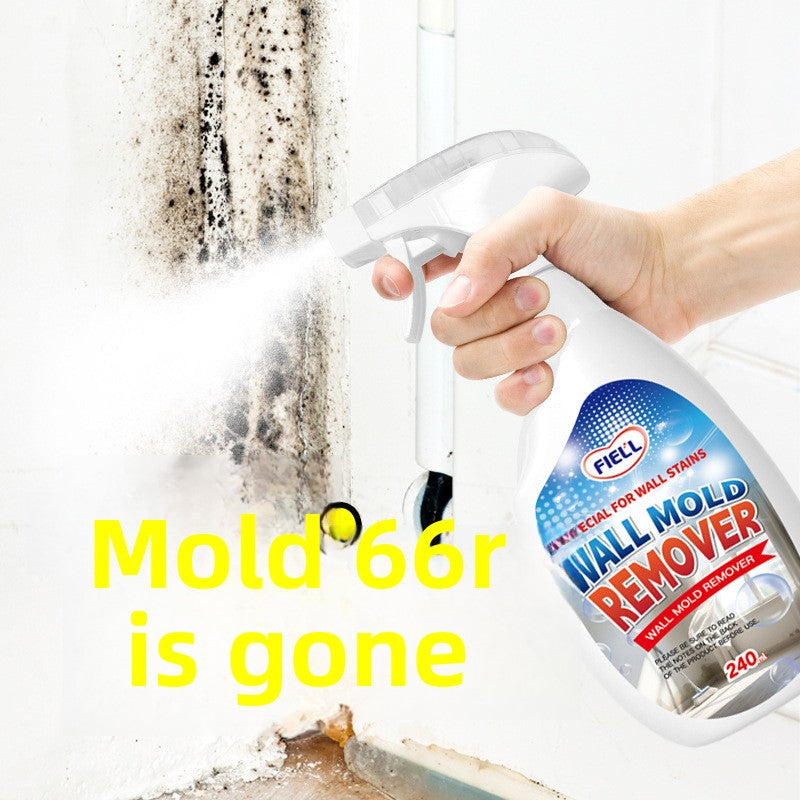 Wall Mold Remover