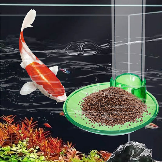 Wall-Mounted Fish Tank Feeder