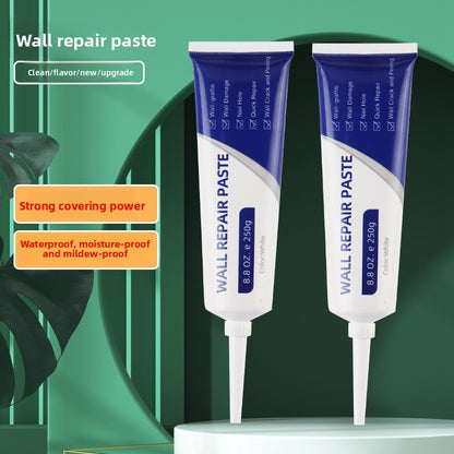 Wall Repair Paste