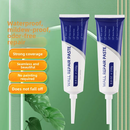 Wall Repair Paste