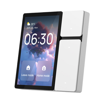 wall switch