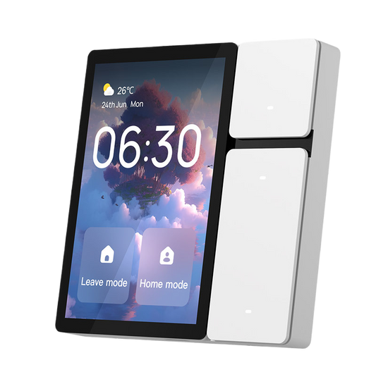 wall switch