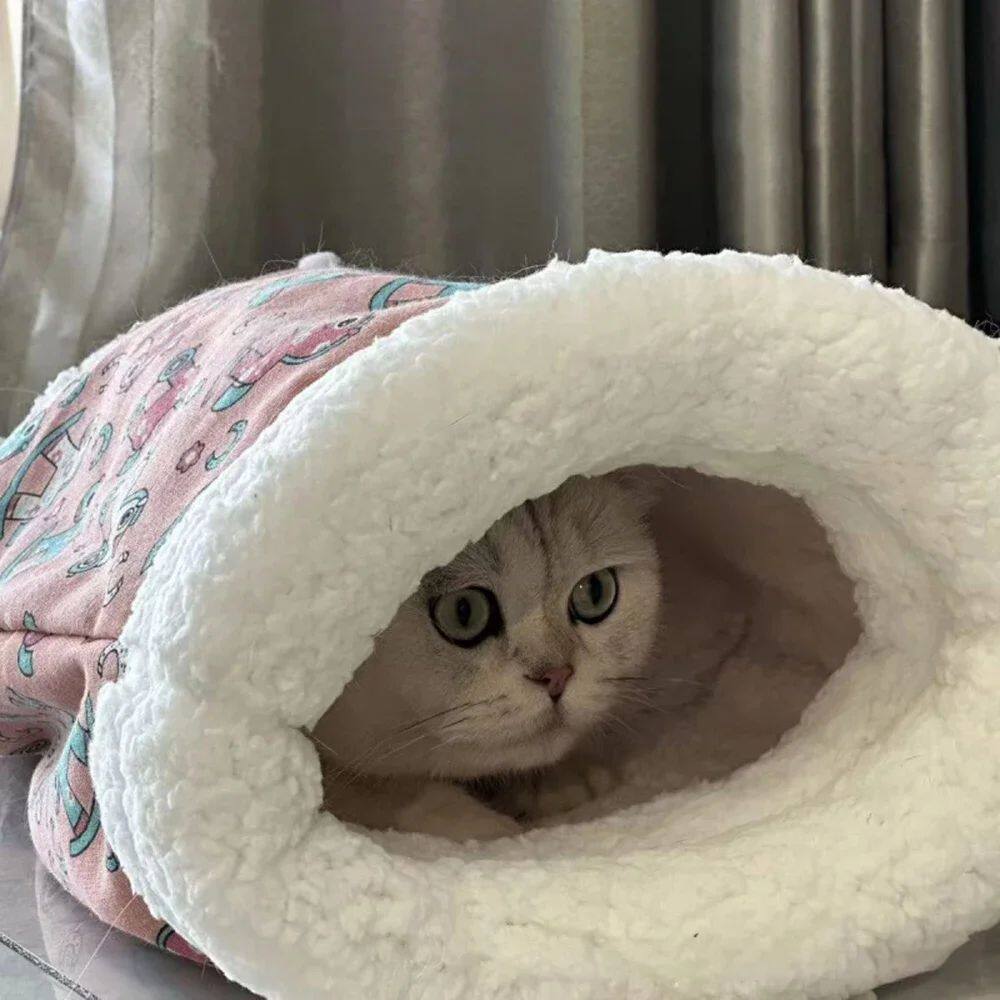 Warm and enclosed cat bed