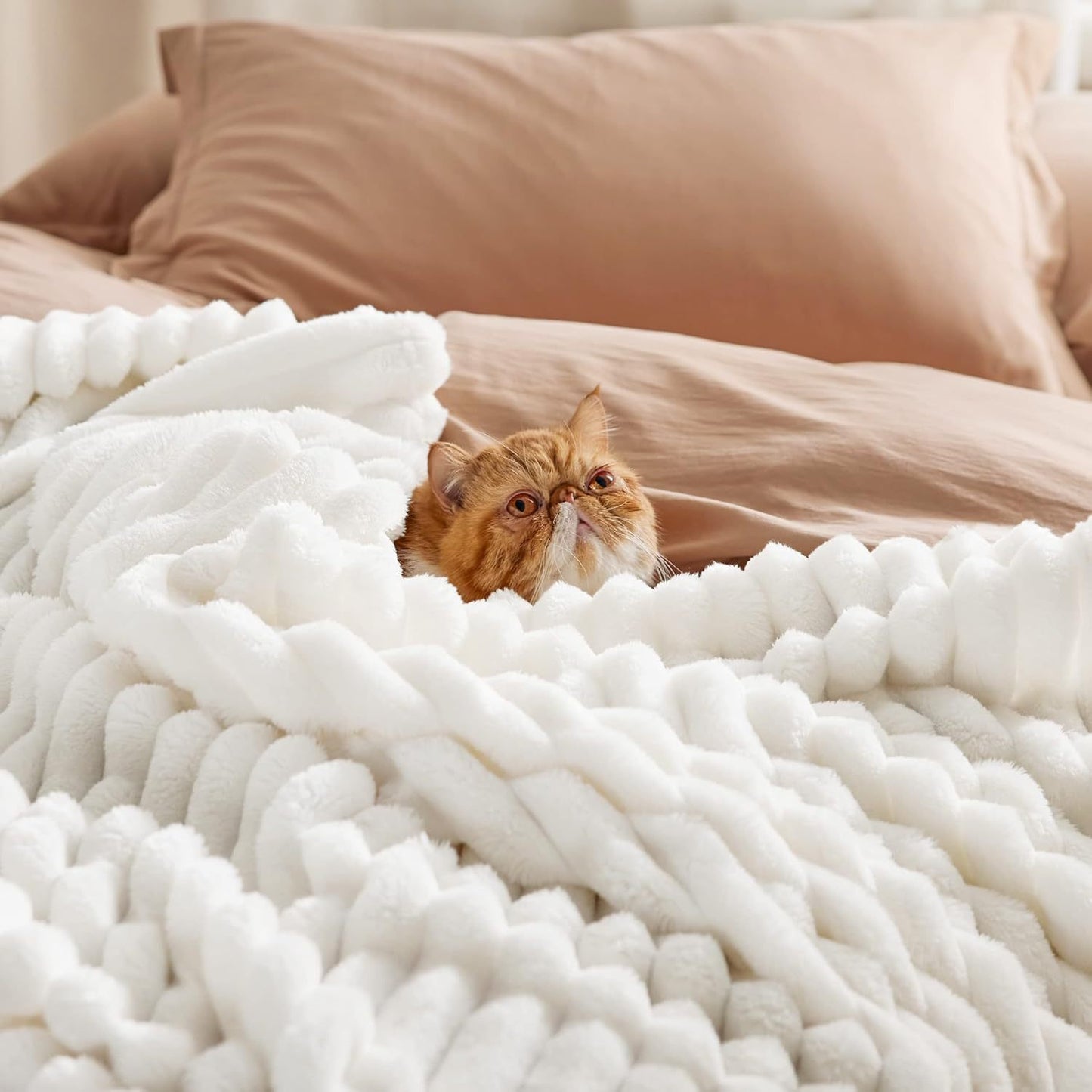 Warm Blanket