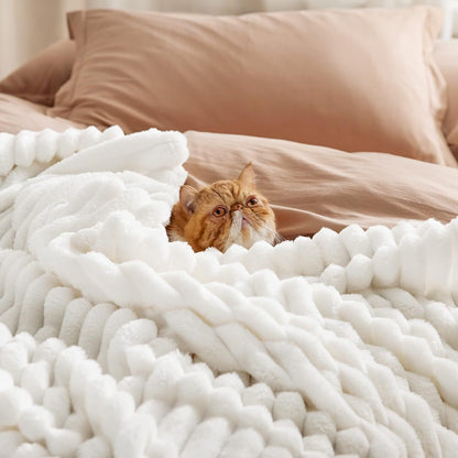 Warm Blanket