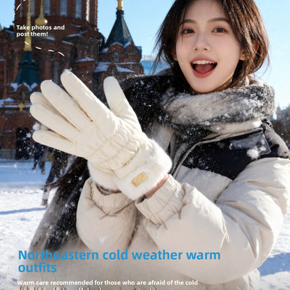 Warm Gloves