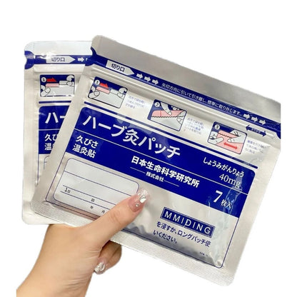 Warm Moxibustion Pain Relief Patches