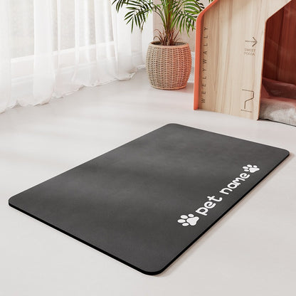 Water-absorbing quick-drying mat