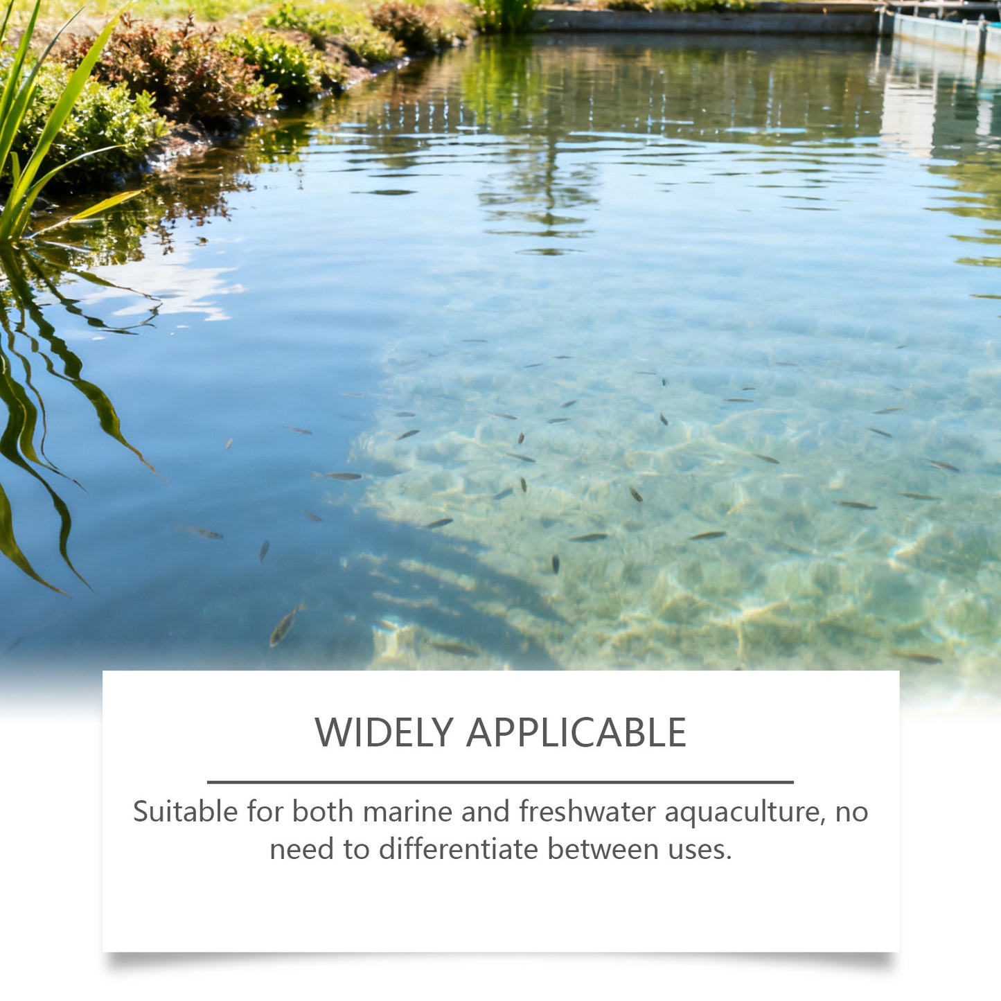 Water Clarifying Powder
