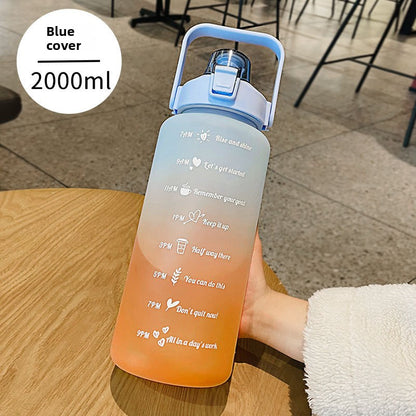 Water Cup