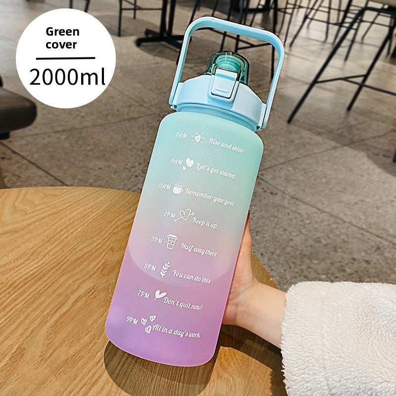 Water Cup
