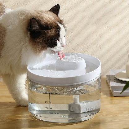 water dispenser