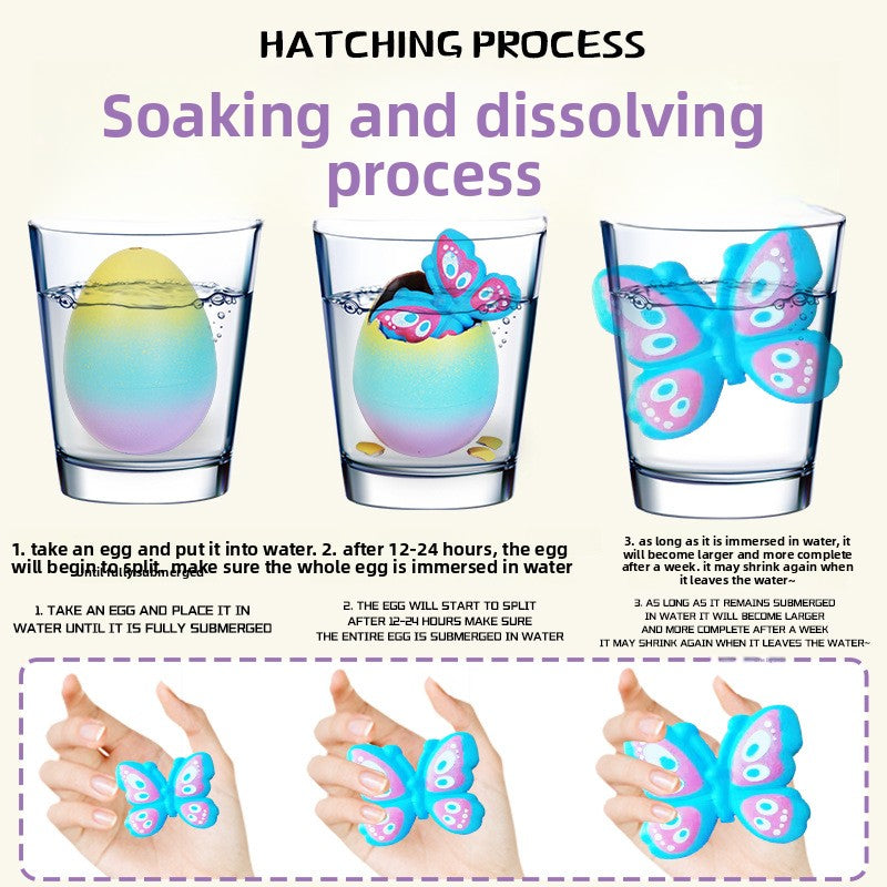 Water Expandable Educational Toys
