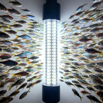 Waterproof LED Fish Attracting Light