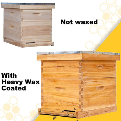 Wax-Dipped Bee Boxes
