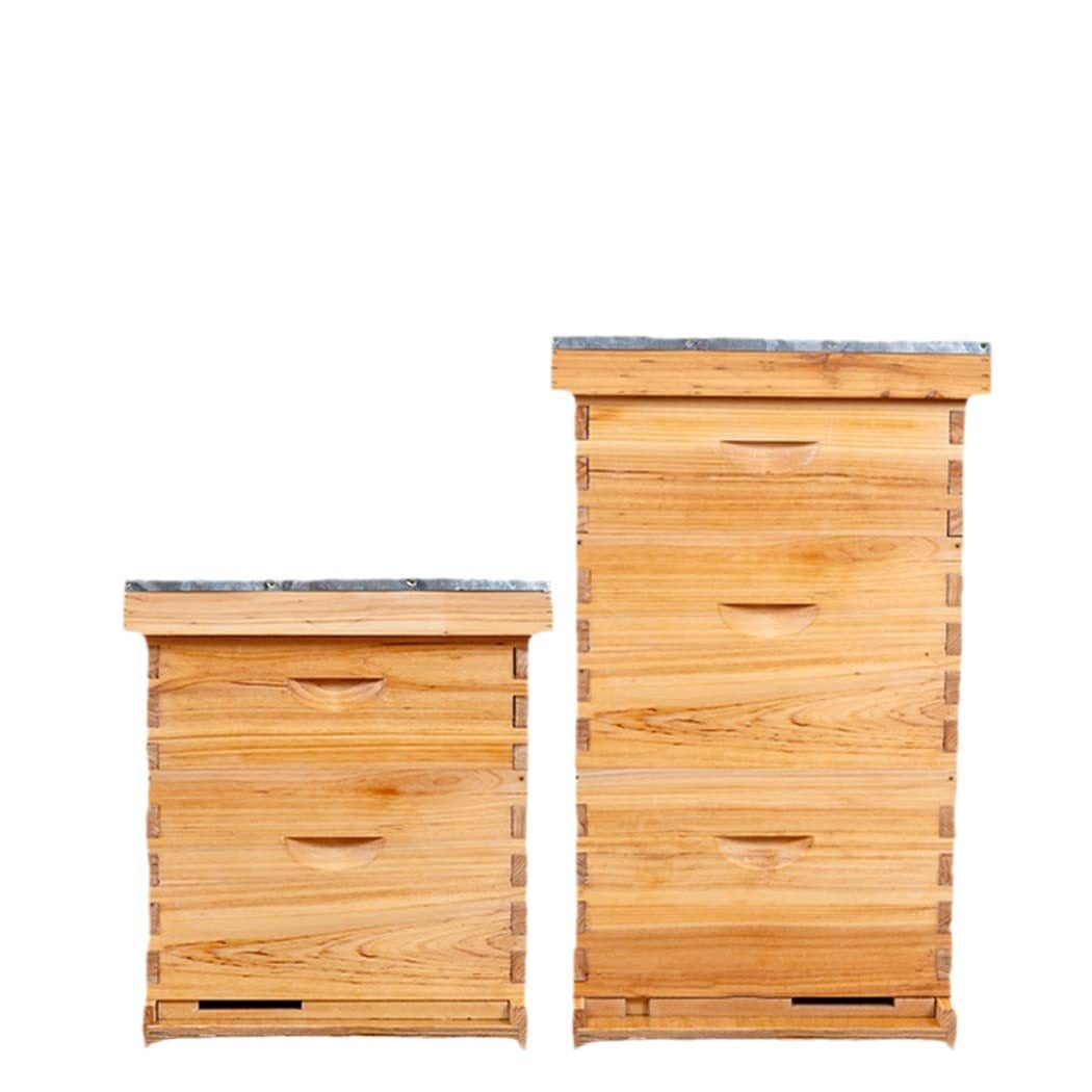 Wax-Dipped Bee Boxes