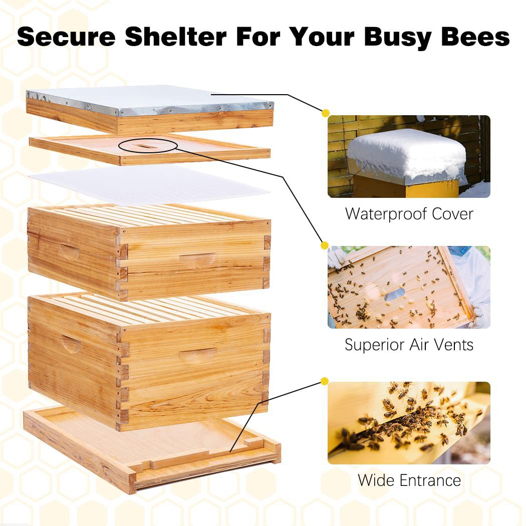 Wax-Dipped Bee Boxes