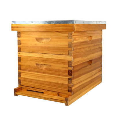 Wax-Dipped Bee Boxes