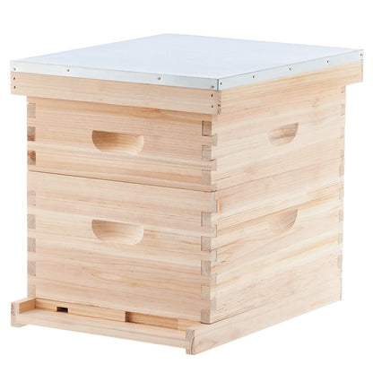 Wax-Dipped Bee Boxes