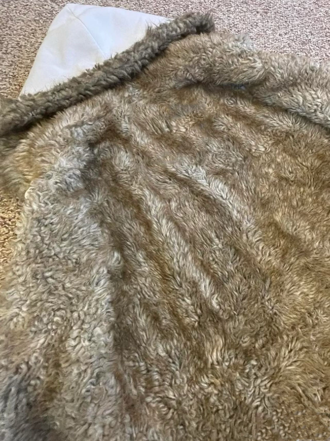 White lettered fur collar hooded sweatshirt