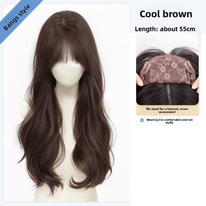 Wig cover