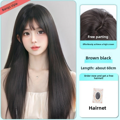 Wig cover