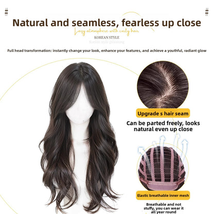Wig cover