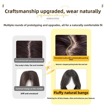 Wig cover