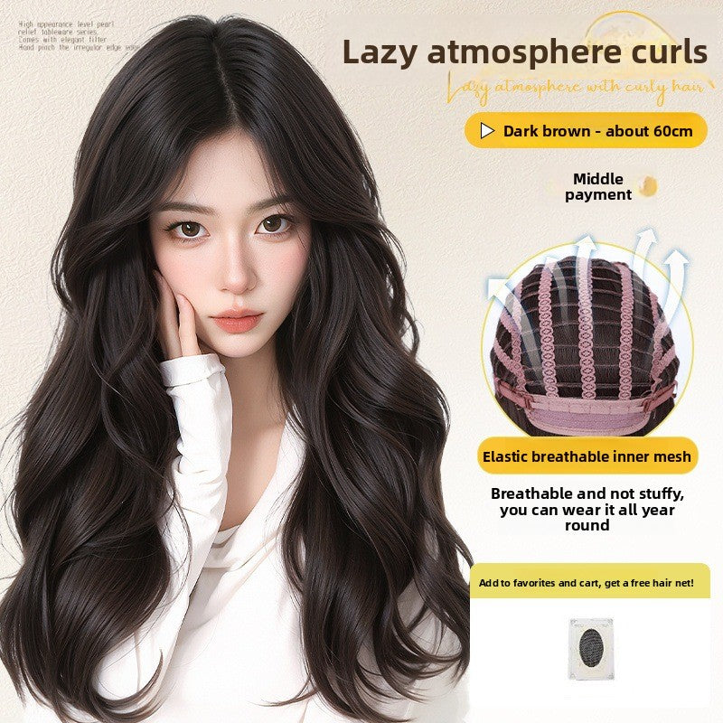 Wig cover